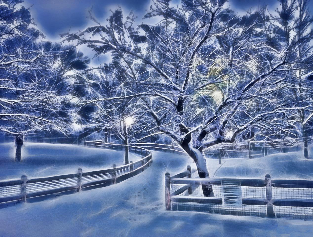 A snowy winter scene of a pathway and a tree.